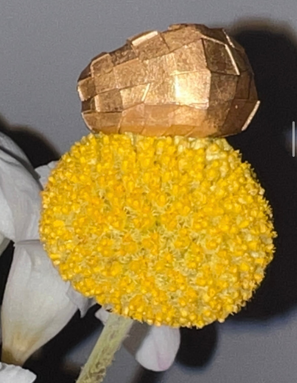 Каблучка AUTENTIQ в позолоті